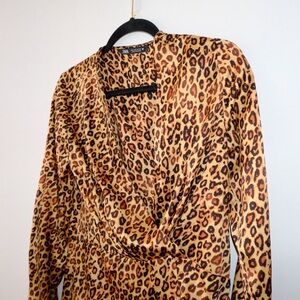 Zara Animal Print Long Sleeve Dress